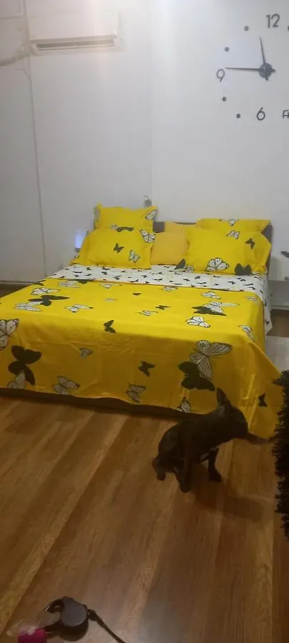 Apartment Vlad'S Unirii Home Bucharest